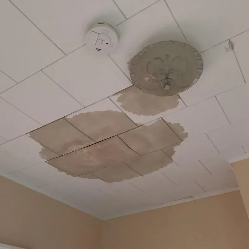 Ceiling Water Damage Repair in Noel, MO