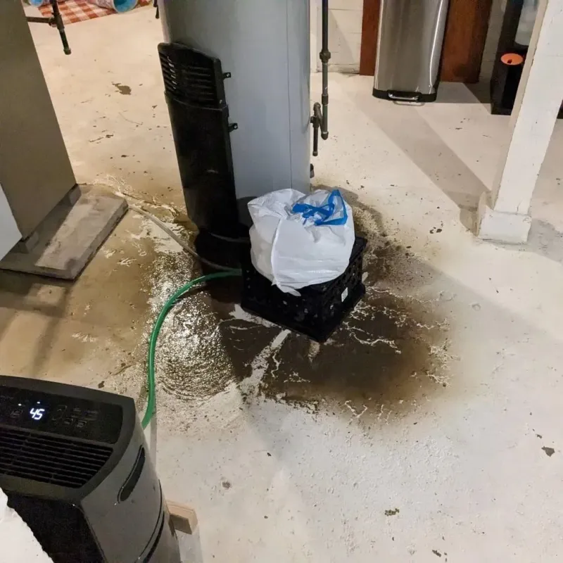 Sewage Backup Cleanup Service in Noel, MO